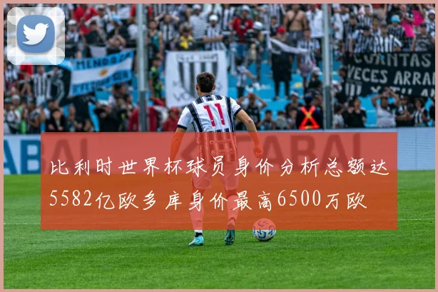 比利时世界杯球员身价分析总额达5582亿欧多库身价最高6500万欧